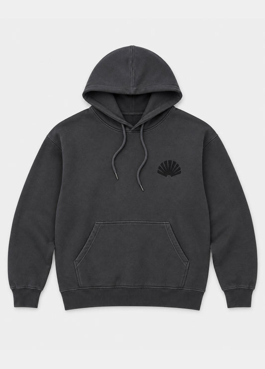 Hoodie logo NASA