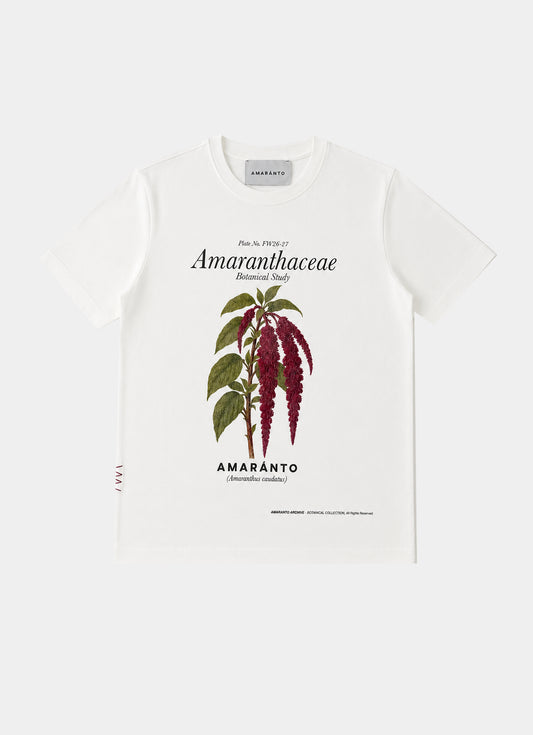 T-Shirt Amaranto AMARANTO