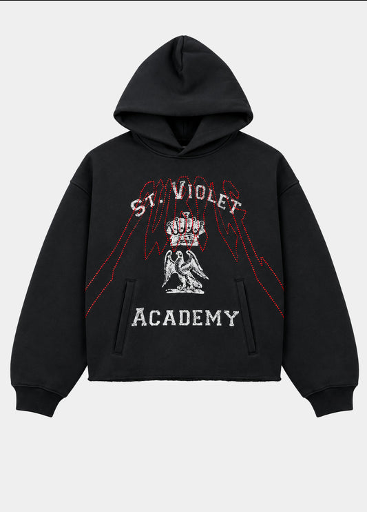 Hoodie swarovski PURPLE BRAND
