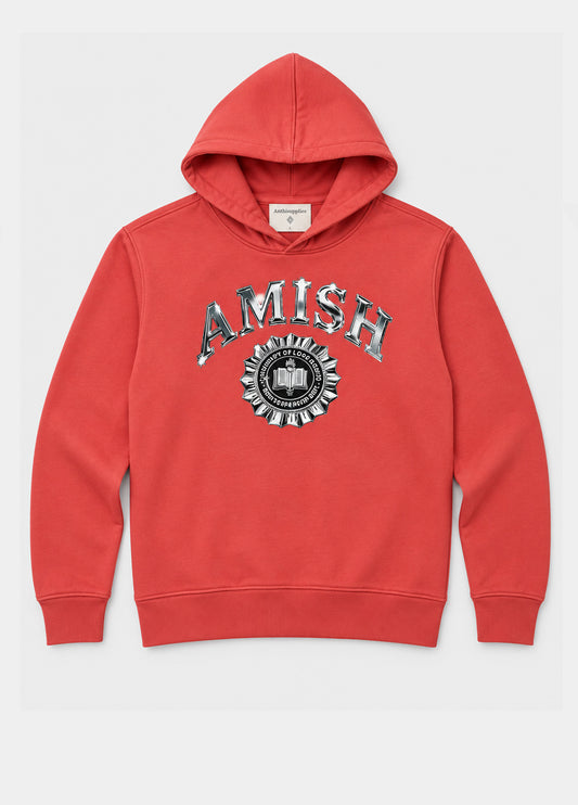 Hoodie logo metallico AMISH