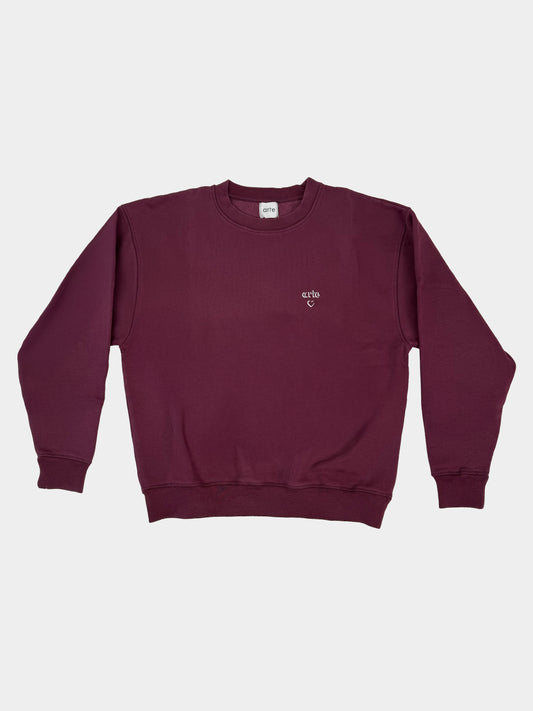 Felpa girocollo logo ARTE