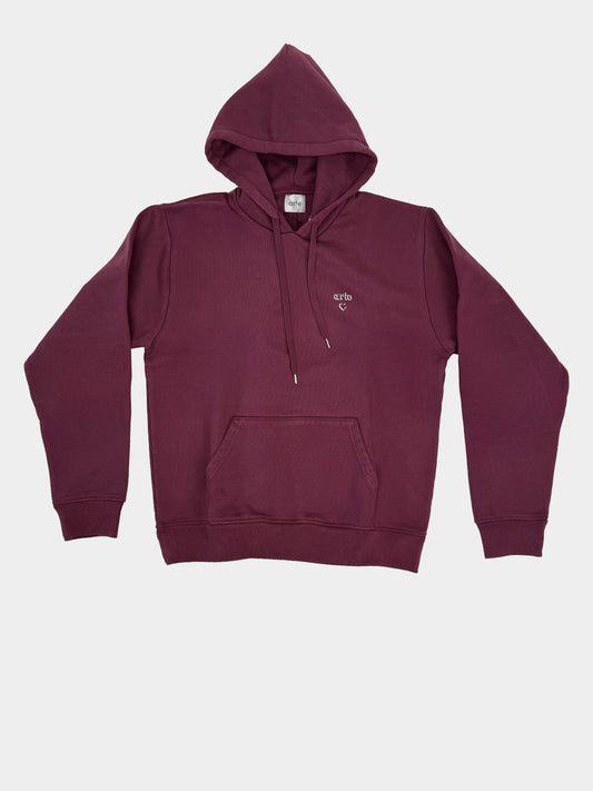 Felpa cappuccio logo ARTE